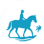 Santa Barbara Beach Rides