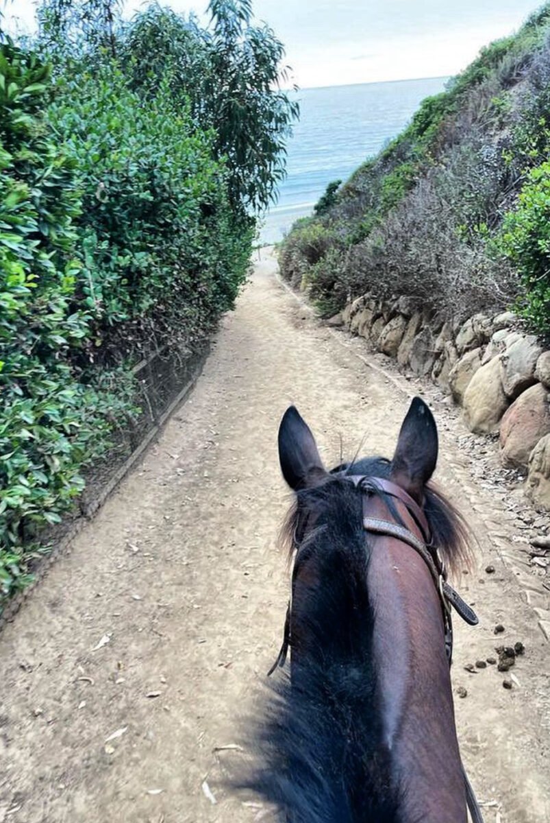 Santa Barbara Beach Rides