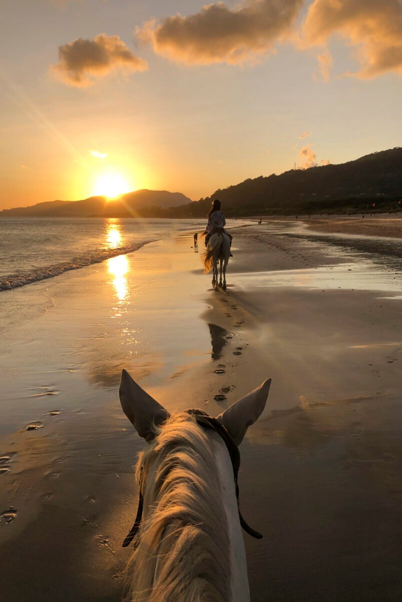 woman riding a horse in the sunset on the beach